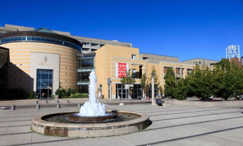 加拿大約克大學