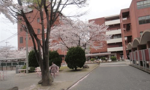 日本九州大學