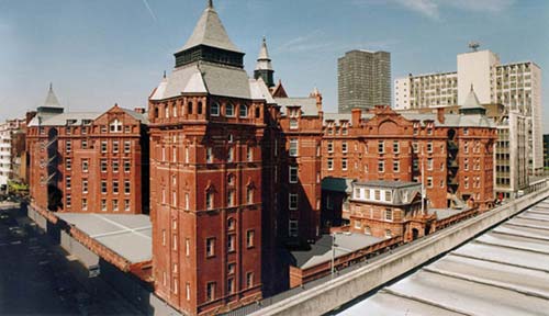 倫敦大學學院