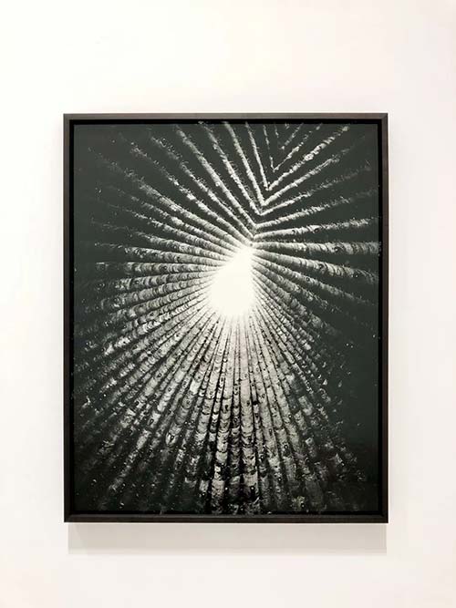 彼得·卒姆托，布魯?shù)恰た藙谒菇烫?，德國梅歇爾尼? 2009，數(shù)碼黑白銀鹽，80*102cm