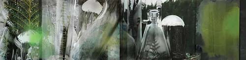 珍妮特·勞倫斯（Janet Laurence），Glass Installation