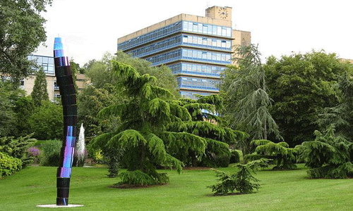 薩里大學(xué)