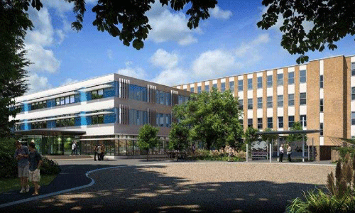 金斯頓大學