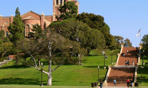 加州大學洛杉磯分校