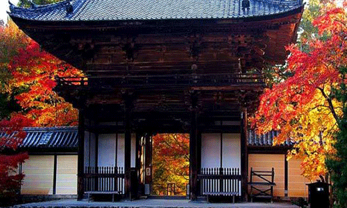 日本京都市立藝術(shù)大學(xué)
