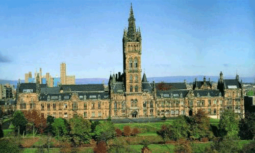 金斯頓大學