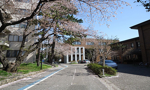 日本千葉大學(xué)