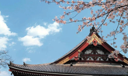 日本藝術留學