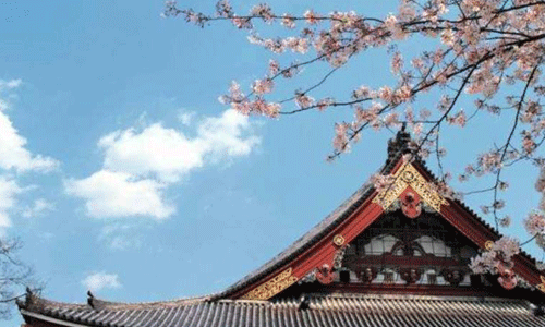 日本藝術留學