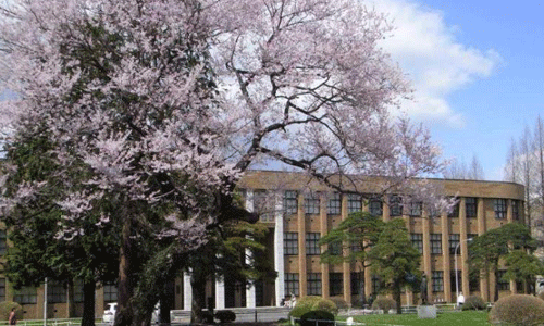 京都精華大學研究生留學
