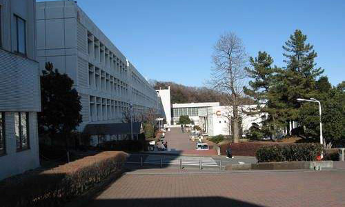 拓殖大學
