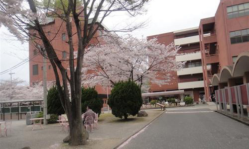 九州女子大學留學