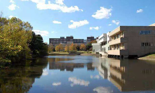 女子美術大學研究生