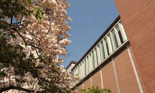 東京藝術(shù)大學(xué)留學(xué)