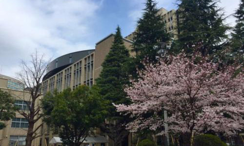 青山學院大學留學