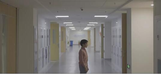NYU電影制作申請(qǐng)案例