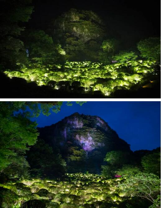 生物學跨專業(yè)學交互