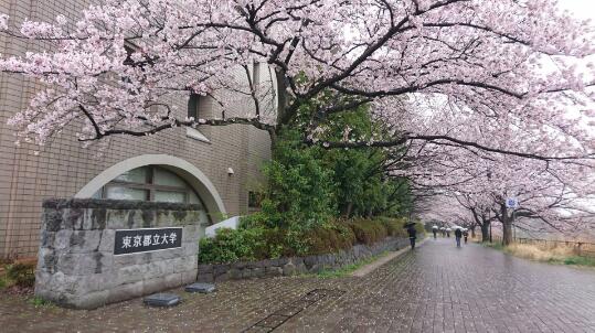 東京都立大學(xué)相當(dāng)于國內(nèi)什么學(xué)校？