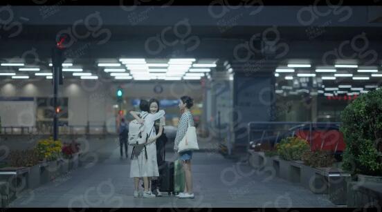 電影專(zhuān)業(yè)作品集探討女性話題