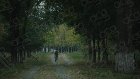 電影專(zhuān)業(yè)作品集探討女性話題