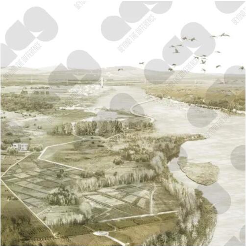 L同學(xué)景觀建筑專業(yè)作品展示